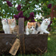 four assorted-color tabby kittens on brown basket