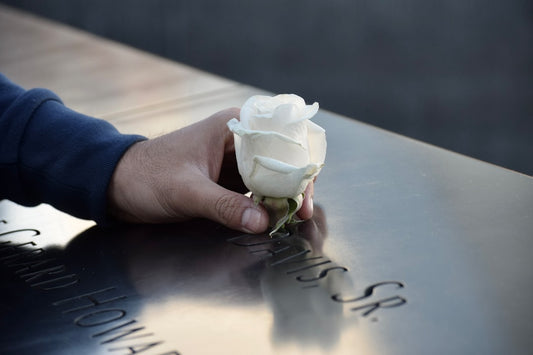 When is the 'Right' Time to Choose a Memorial Keepsake? Navigating Grief and Remembrance - Eternal Whiskers