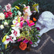 Finding Peace in Remembrance: A Guide to Choosing Your Perfect Memorial Keepsake - Eternal Whiskers
