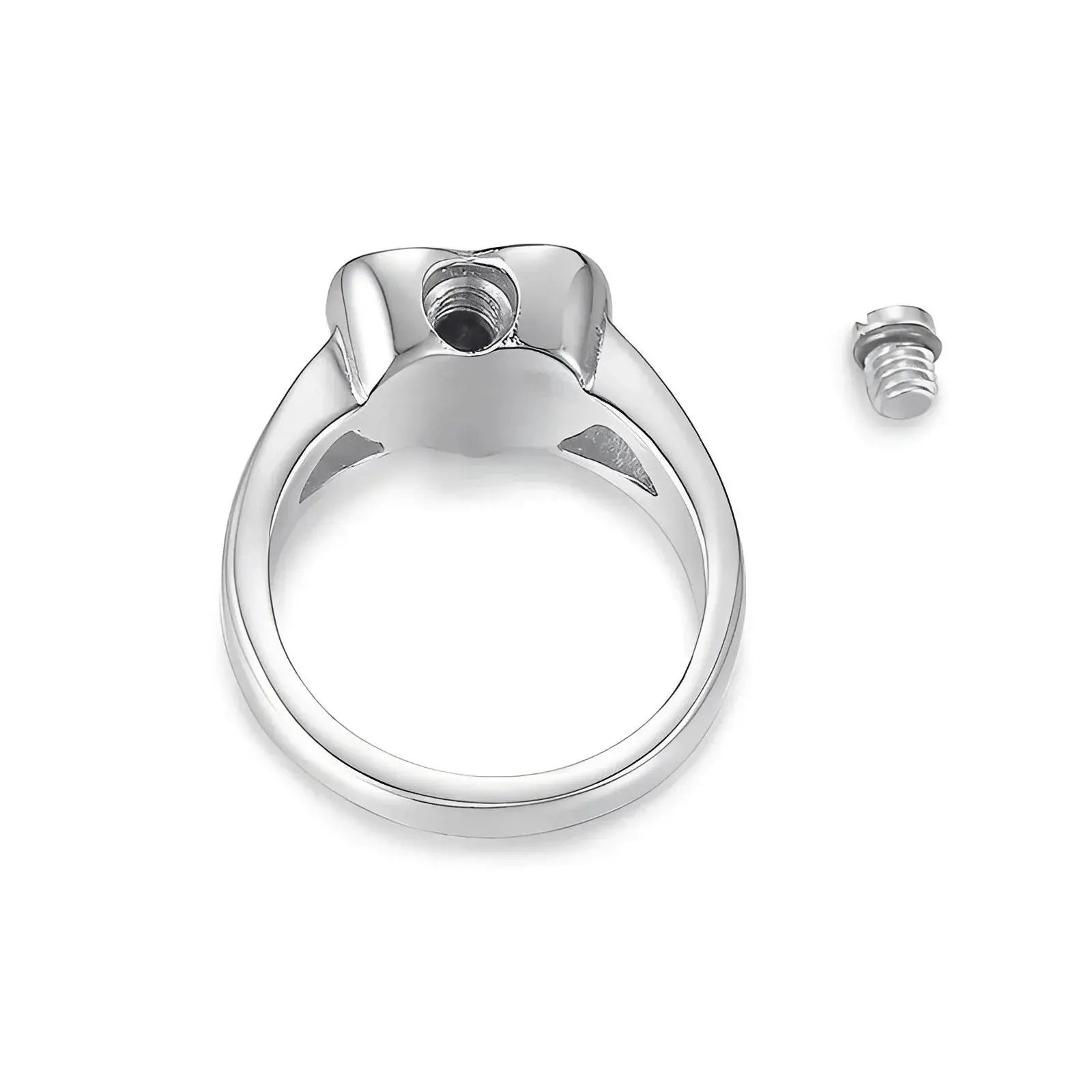 Stainless Steel Heart Love Urn Ring - Eternal Whiskers