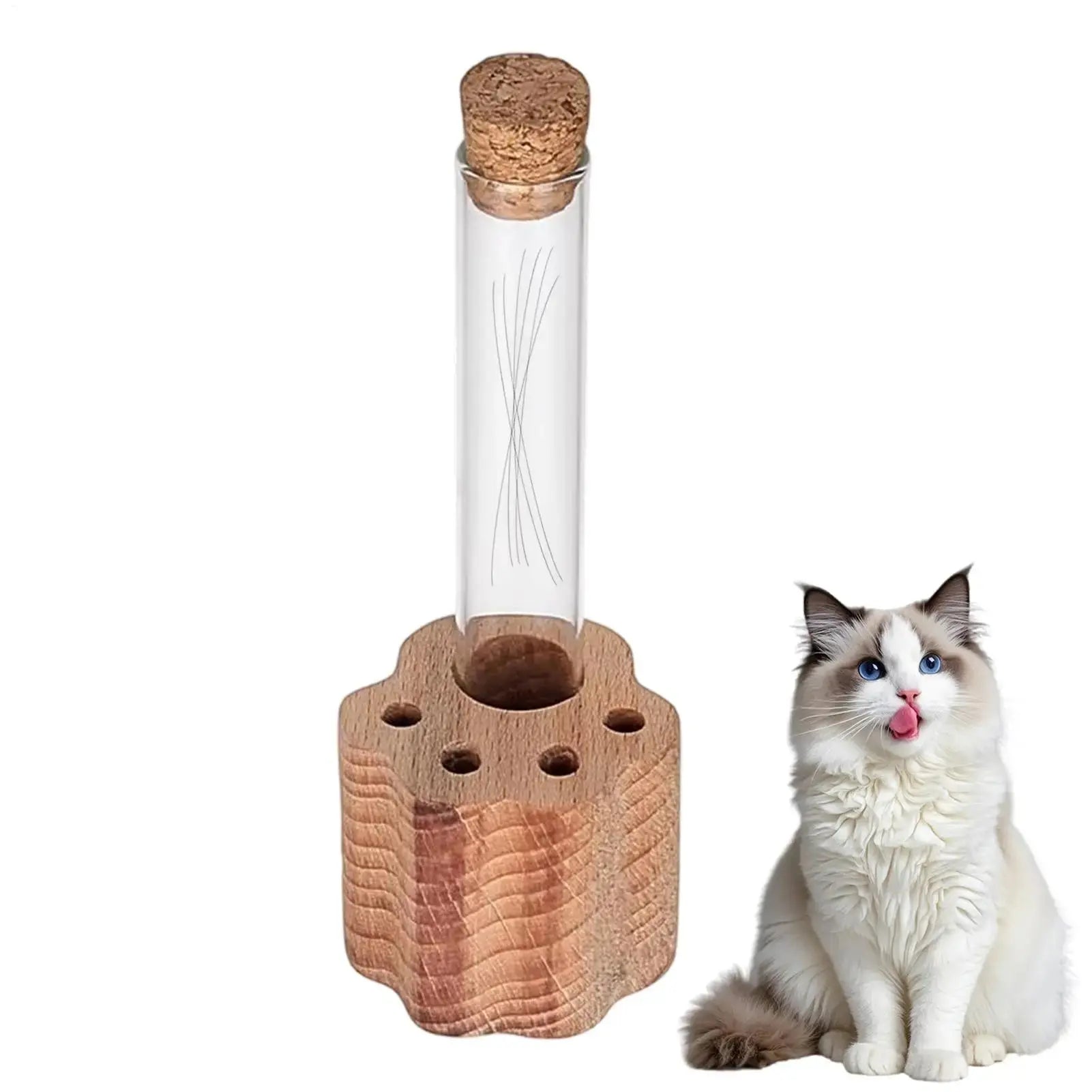 Cat Whisker Glass Keepsake Jar - Eternal Whiskers